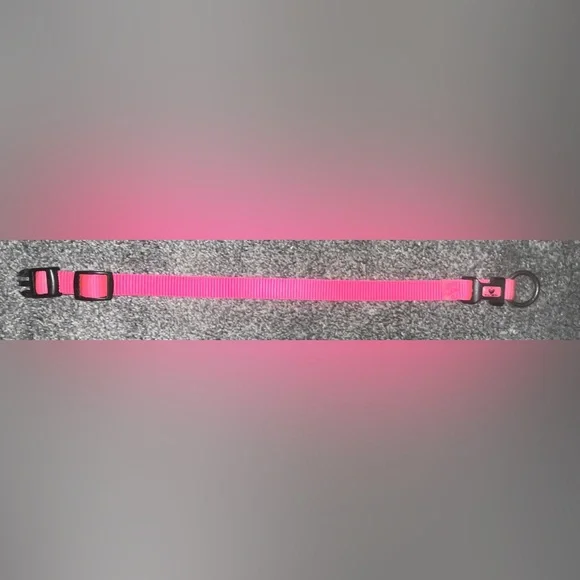 🎉HOST PICK 🎉 Hot Pink Dog Collar - Picture 2 of 7